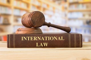 International Trade Litigation